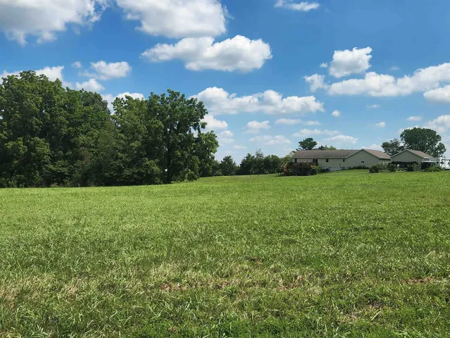 a view of a garden from a yard
