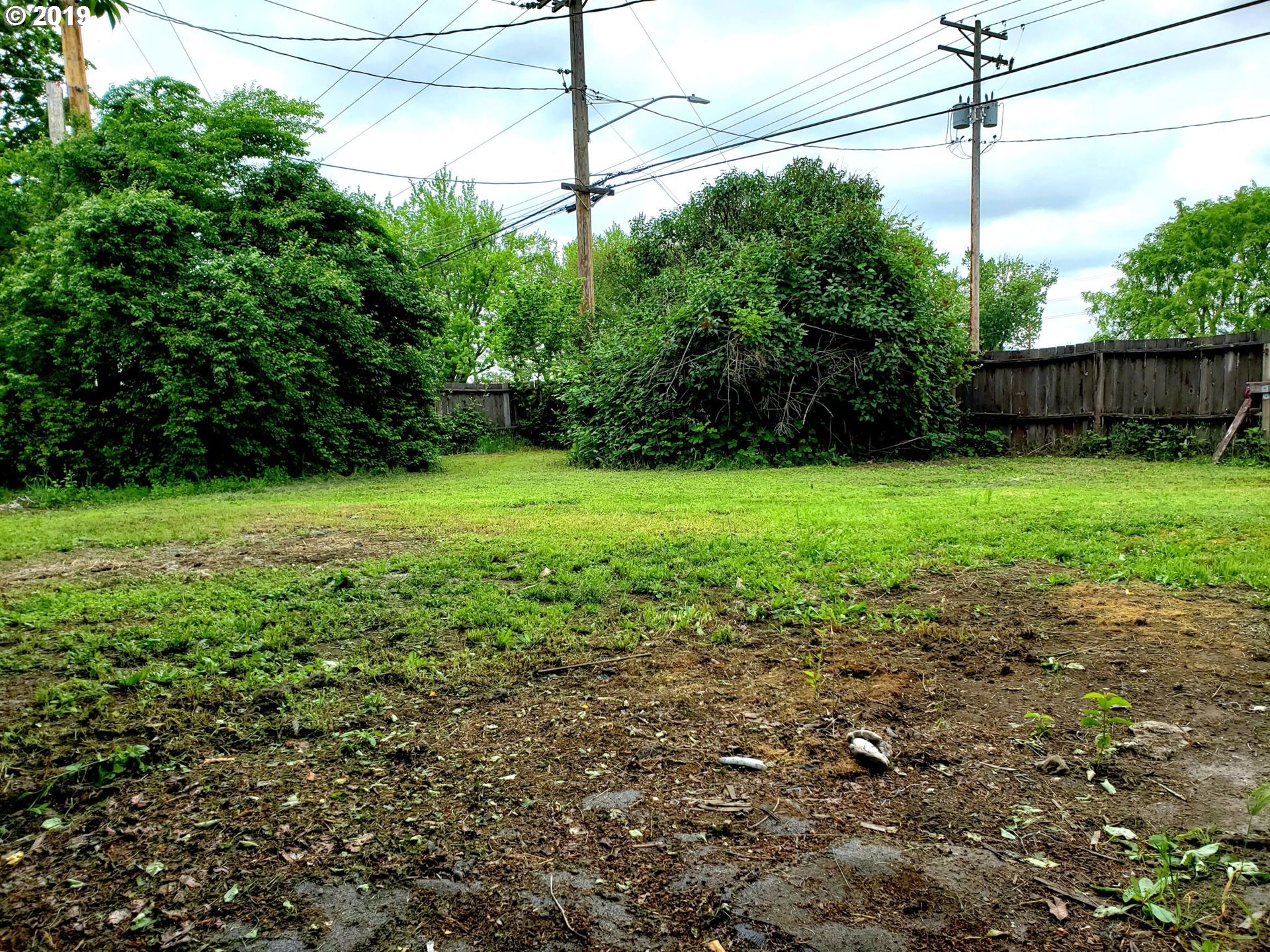 2780 E Street Springfield, OR 97477 - Photo 13 of 15 a view of a field with a tree in the background
