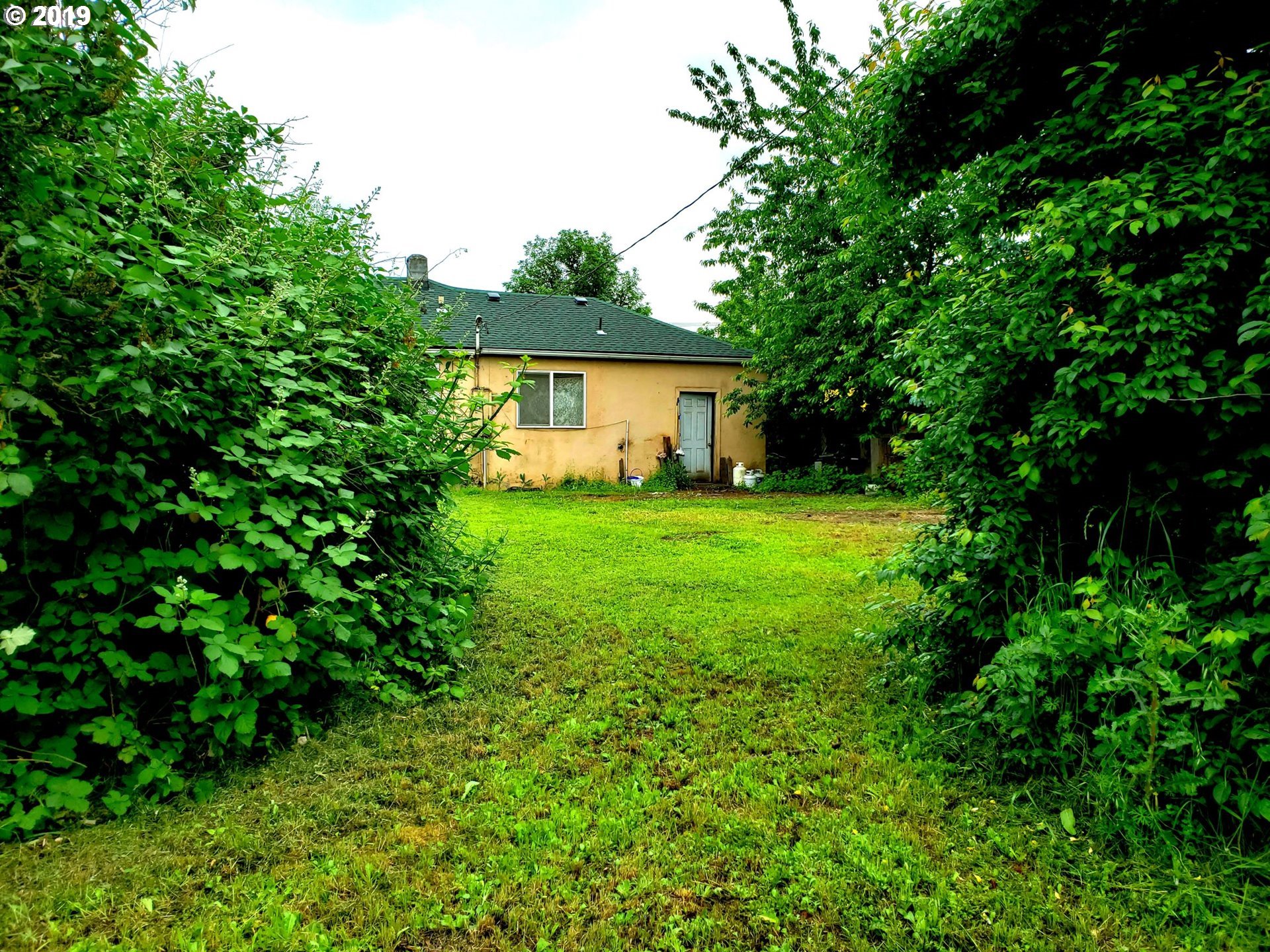 2780 E Street Springfield, OR 97477 - Photo 15 of 15 a view of a backyard with plants and large trees