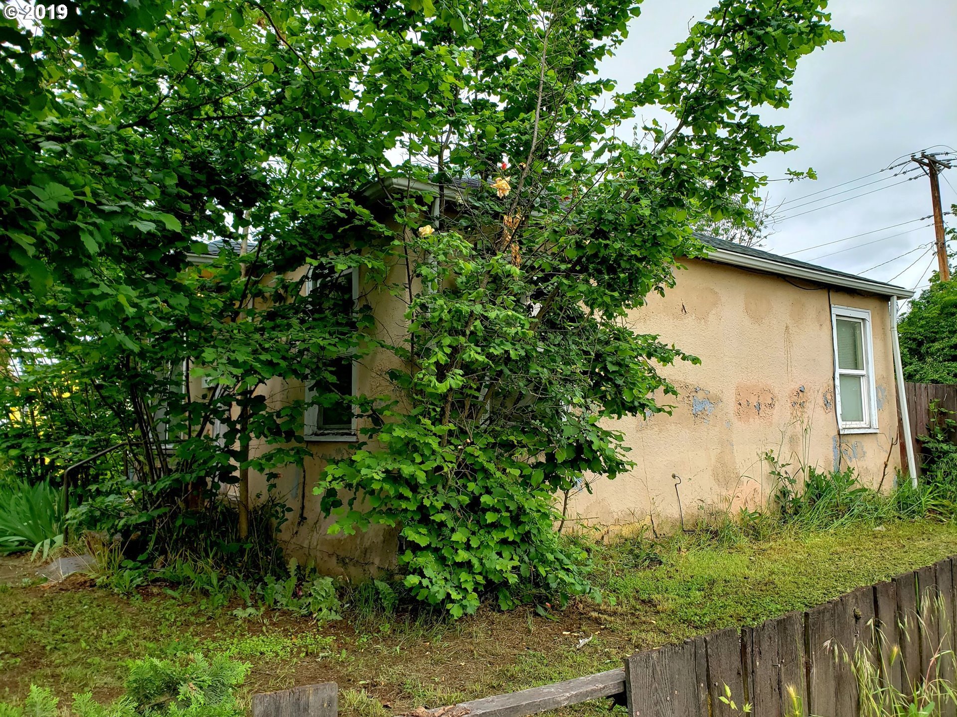2780 E Street Springfield, OR 97477 - Photo 3 of 15 a backyard of a house with lots of green space