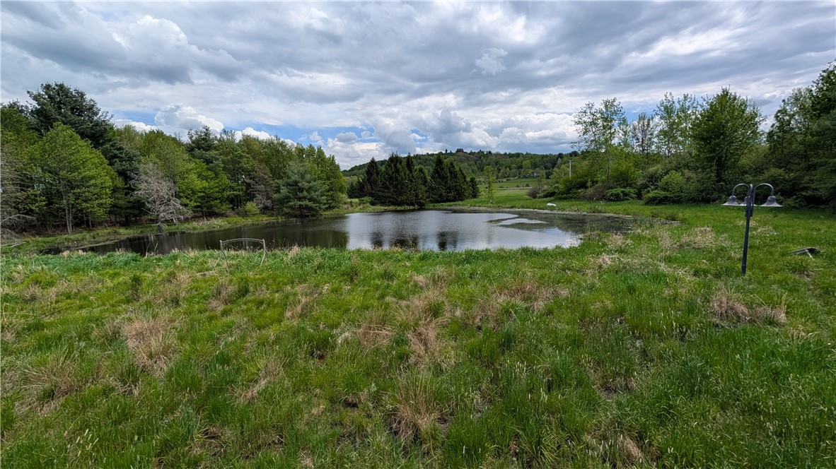 5820 Steam Mill Road Masonville, NY 13849 - Photo 39 of 47