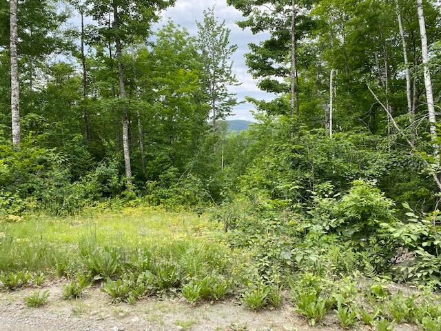 154 Blanchard Road Shirley Mills, ME 04485 - Photo 10 of 12 IMG_2714