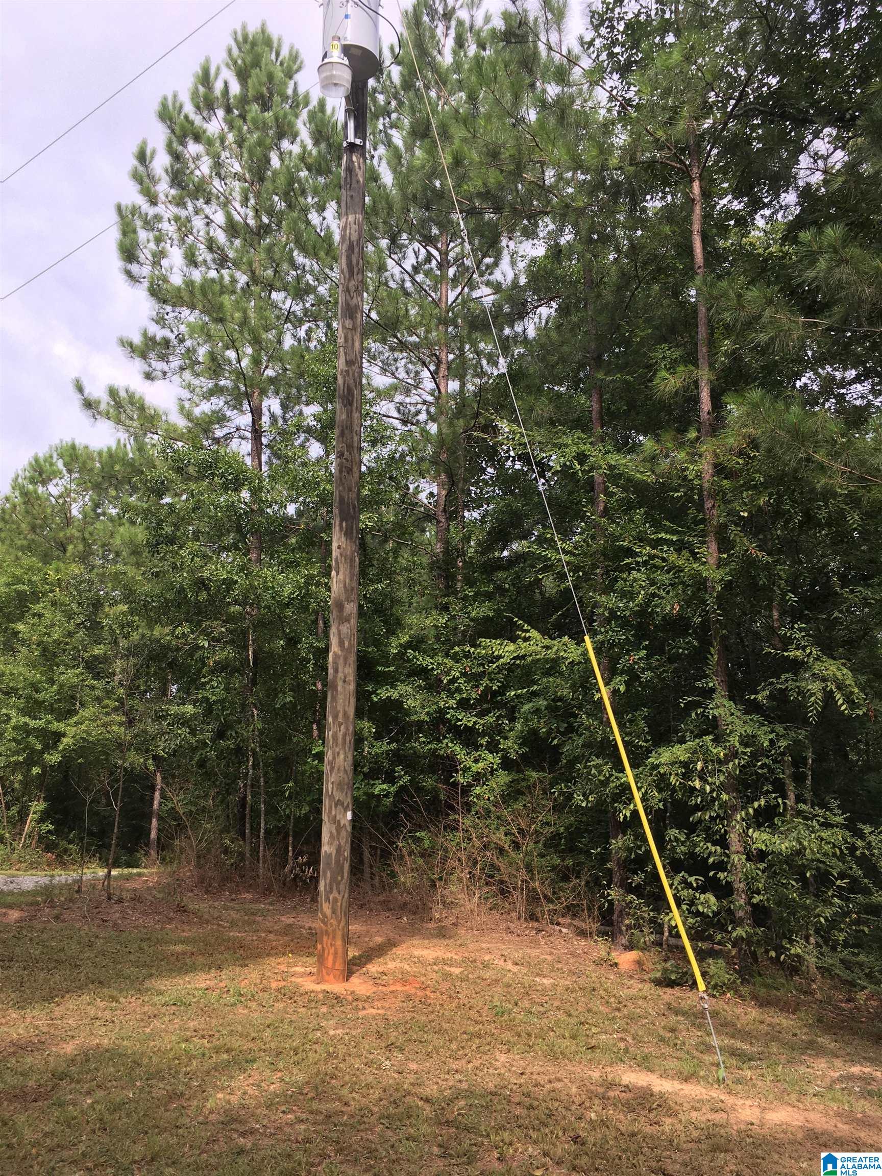 25 Whitson Road Talladega, AL 35160 - Photo 3 of 5