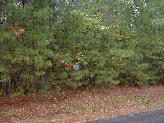 Lot#2 Sweetgum Loop McCormick, SC 29835 - Photo 1 of 1 Main View