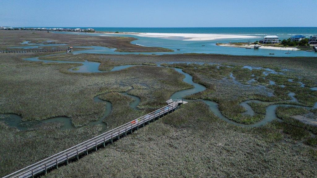 119 Berry Tree Drive Pawleys Island, SC 29585 - Photo 28 of 29