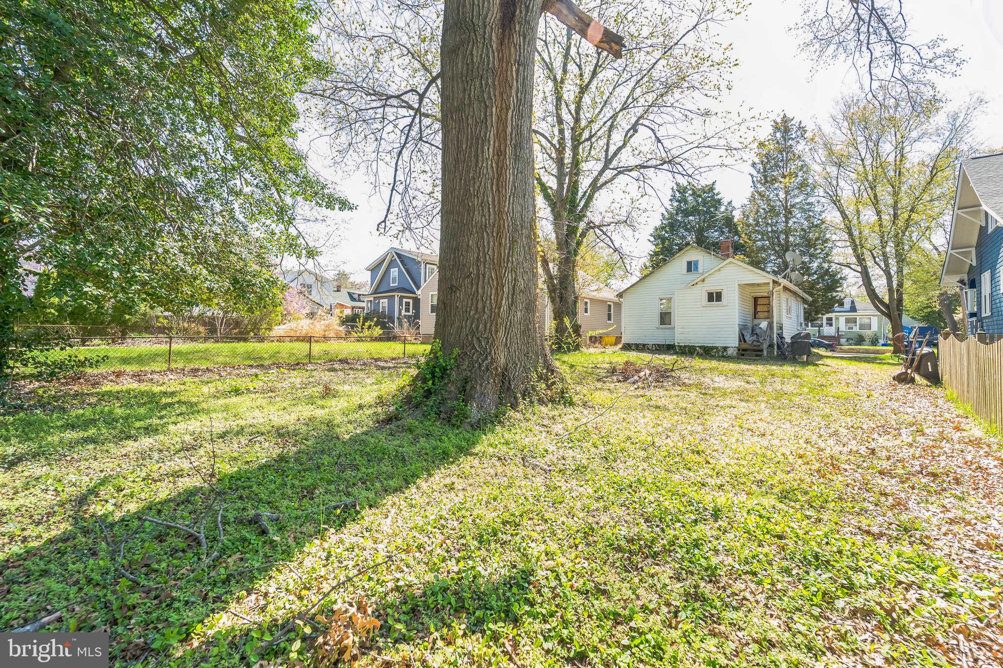912 Windsor Avenue Annapolis, MD 21403 - Photo 27 of 29 a view of yard with large tree and wooden fence