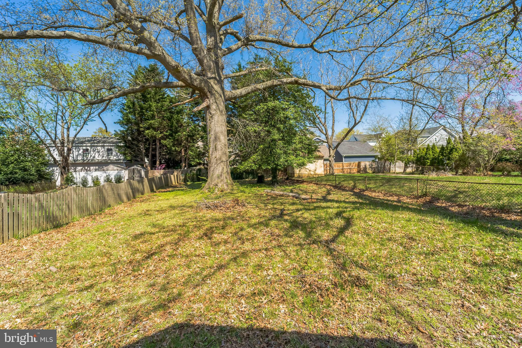 912 Windsor Avenue Annapolis, MD 21403 - Photo 29 of 29 a view of yard with tree
