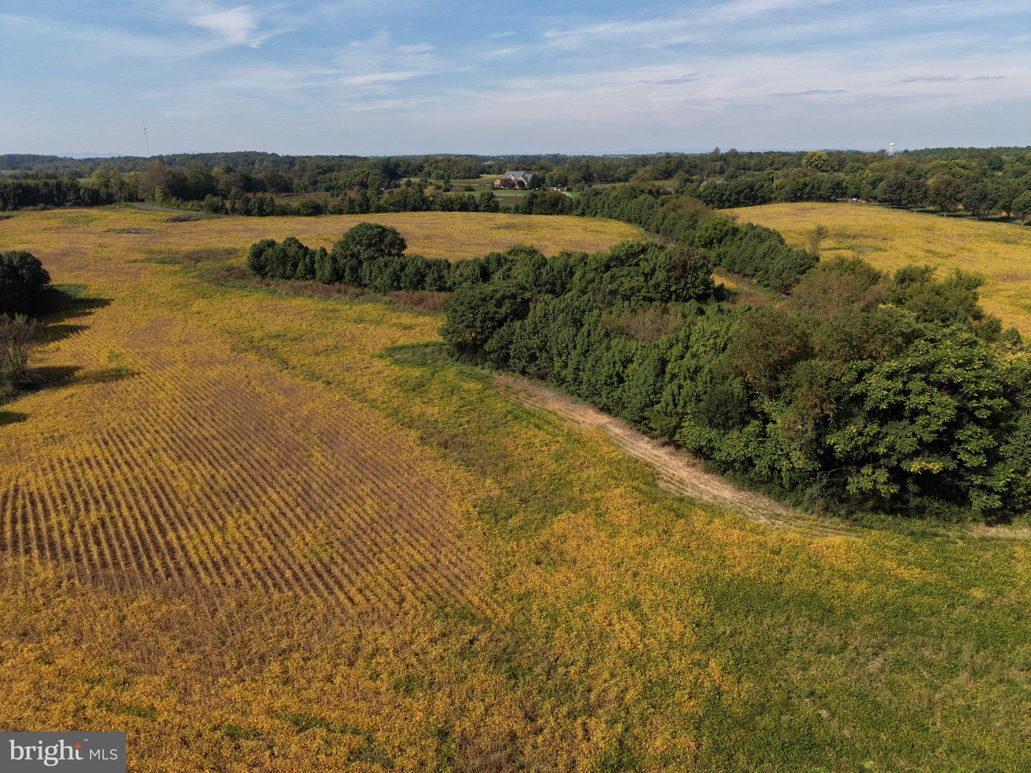 943 Parshall Road Berryville, VA 22611 - Photo 108 of 128 Gallery Image 108