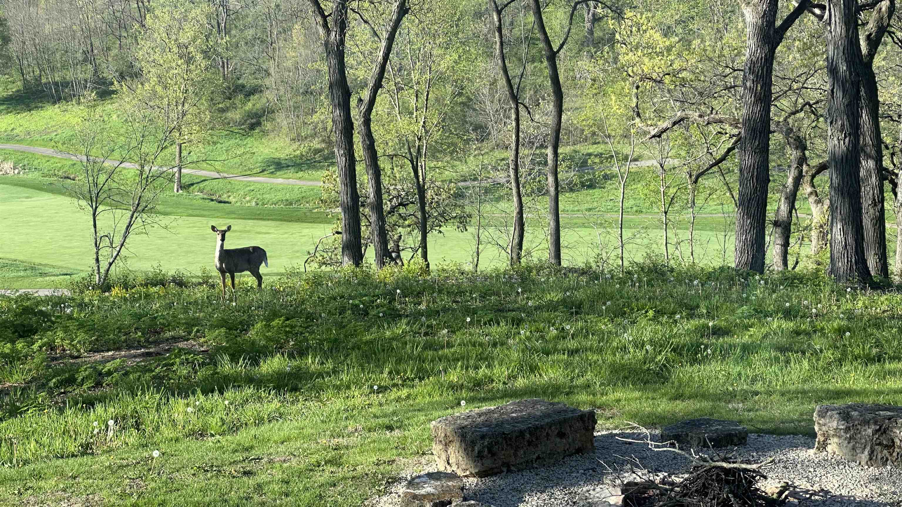 19 Cedar Rim Trail Galena, IL 61036 - Photo 50 of 72 Gallery Image 50
