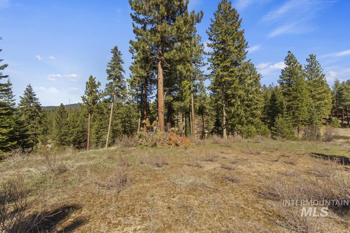 16 Sarah Way Cascade, ID 83611 - Photo 2 of 24 Gallery Image 2