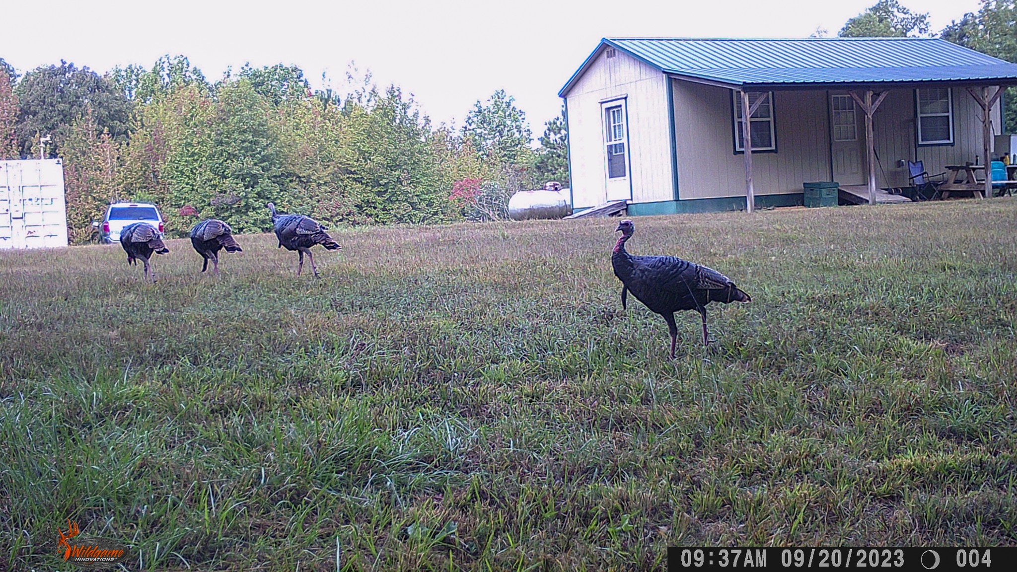 0 Pearson Road Cedar Grove, TN 38321 - Photo 19 of 21