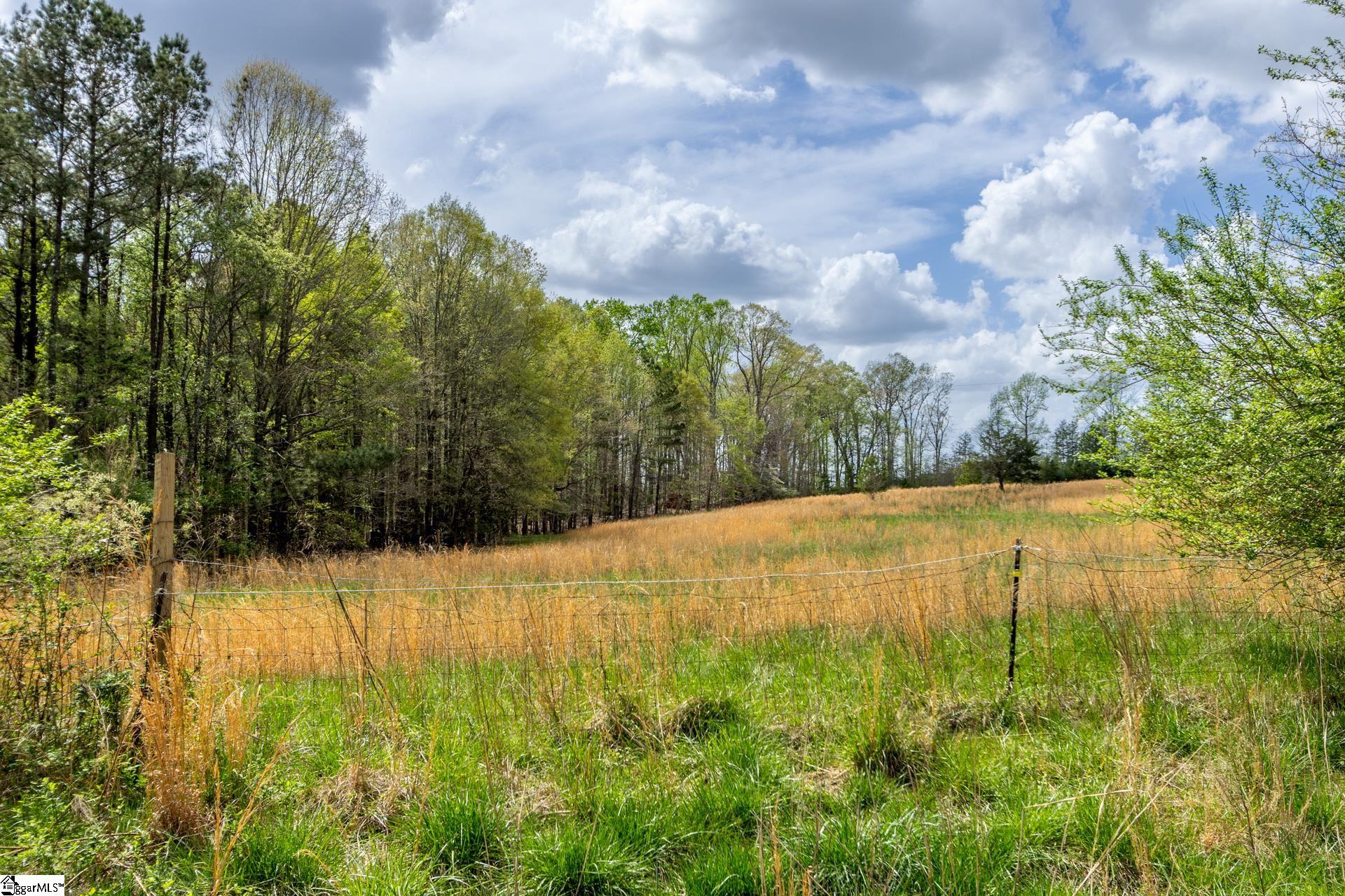 365 Old Bethel Road Moore, SC 29369 - Photo 15 of 50