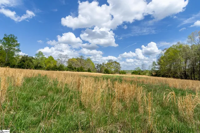 $1,500,000 | 365 Old Bethel Road, Moore, SC 29369