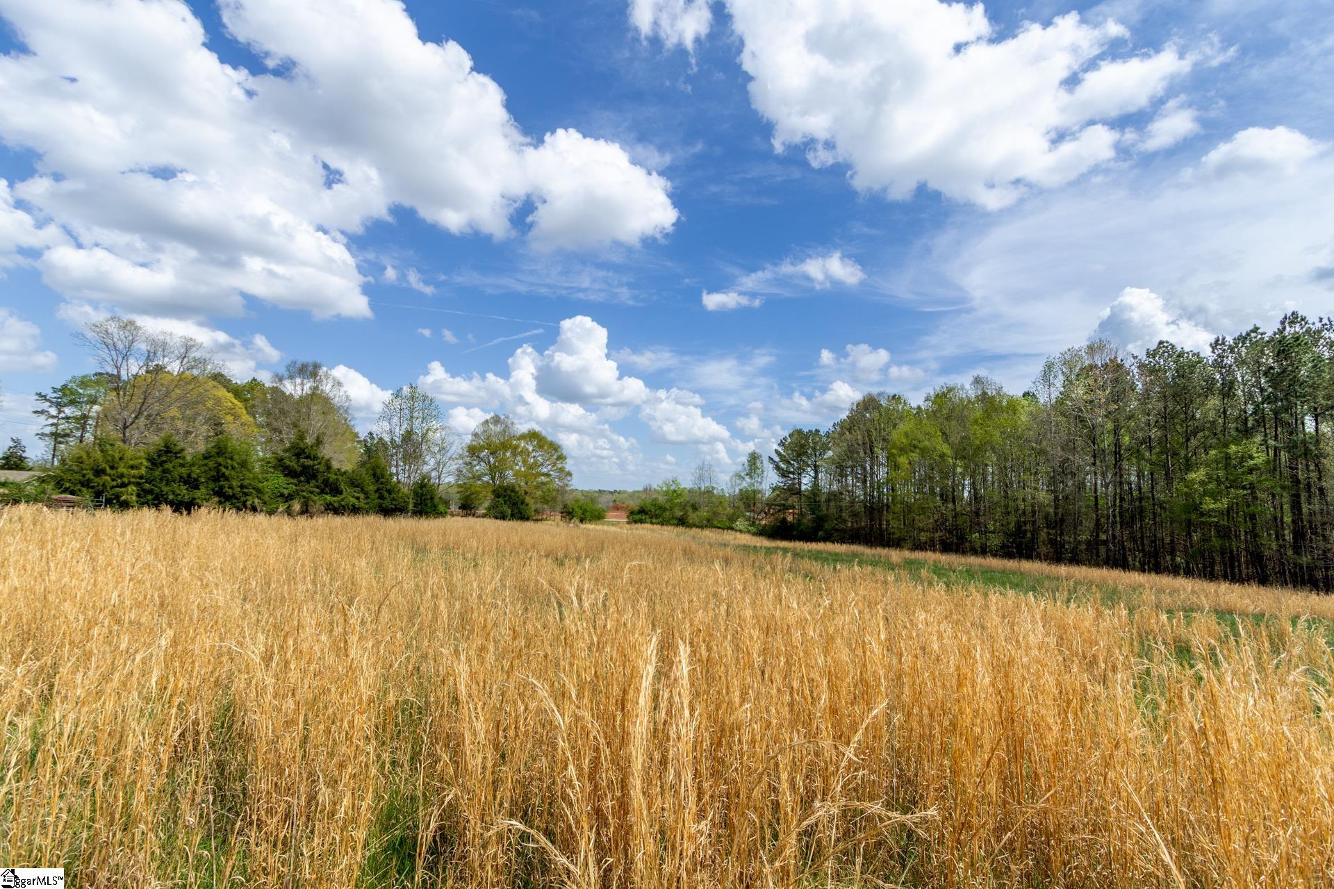 365 Old Bethel Road Moore, SC 29369 - Photo 23 of 50