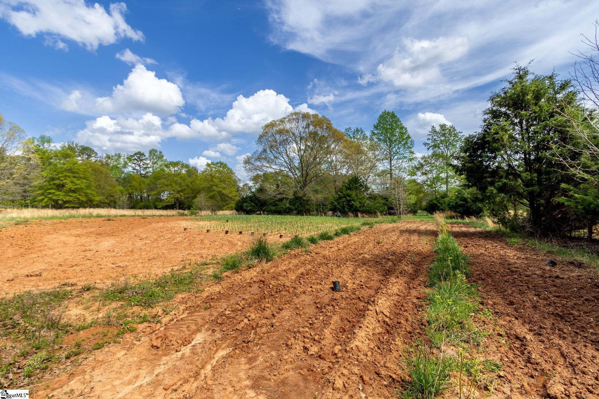 365 Old Bethel Road Moore, SC 29369 - Photo 32 of 50