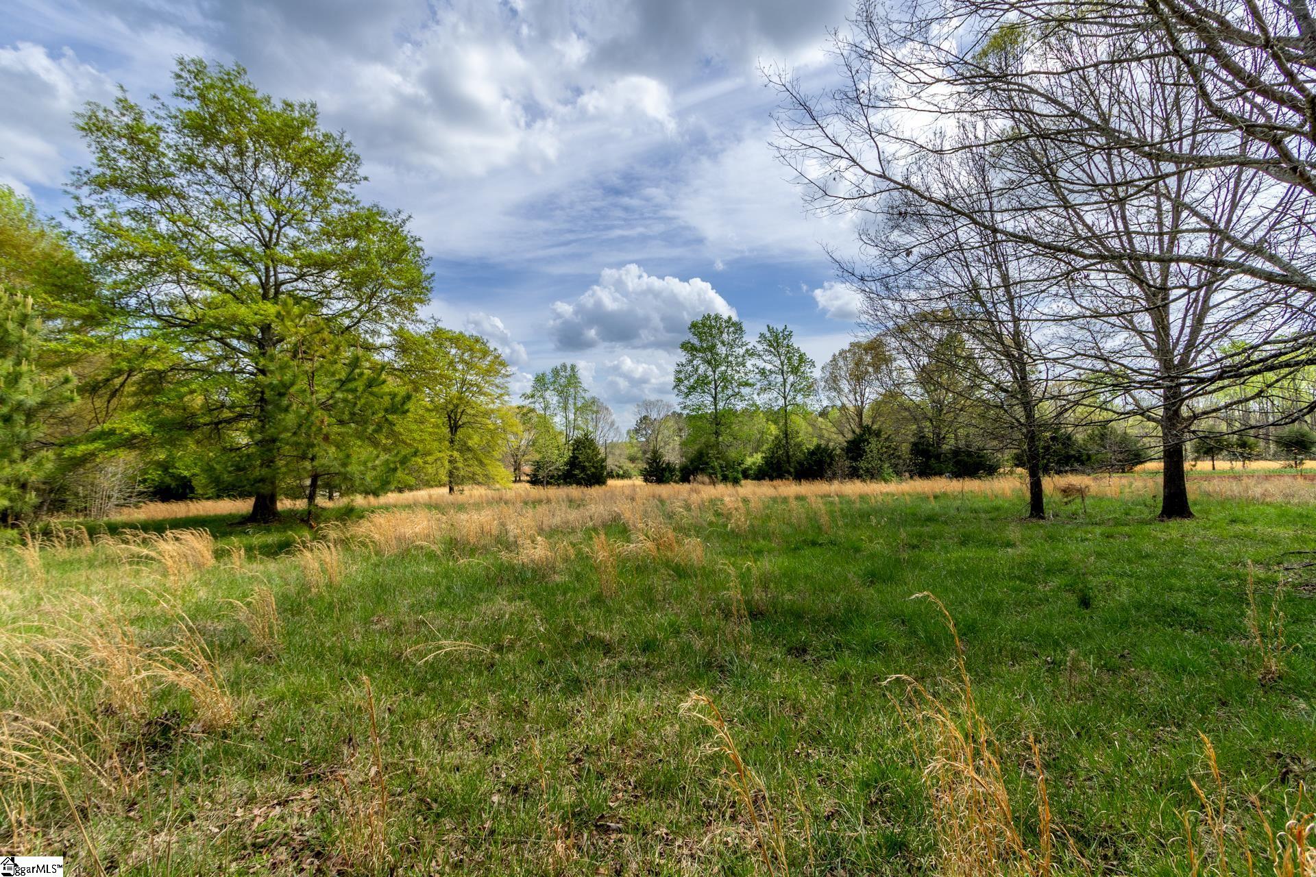 365 Old Bethel Road Moore, SC 29369 - Photo 34 of 50
