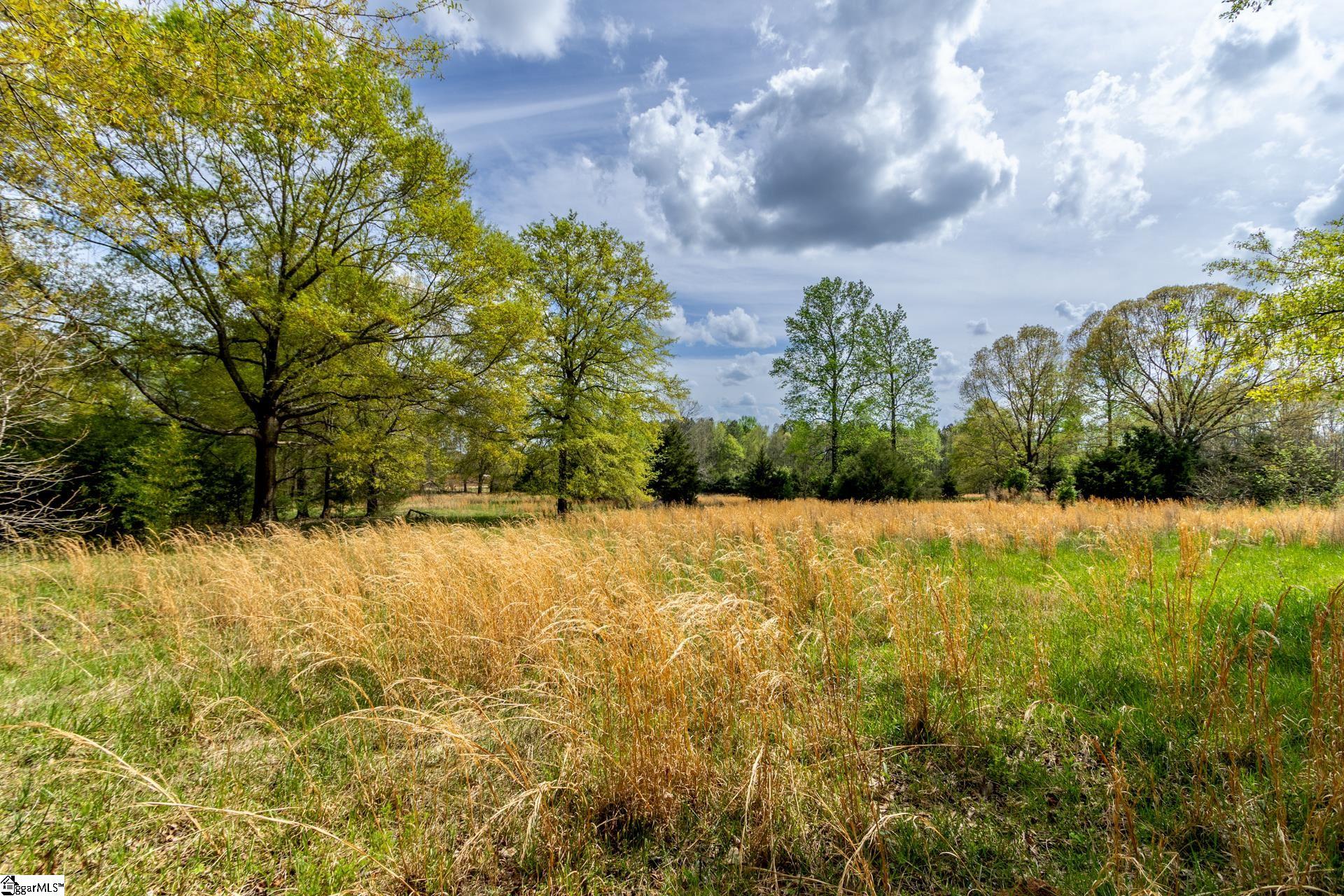 365 Old Bethel Road Moore, SC 29369 - Photo 35 of 50
