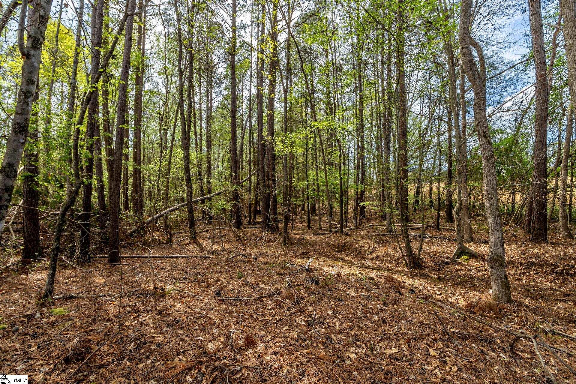 365 Old Bethel Road Moore, SC 29369 - Photo 40 of 50