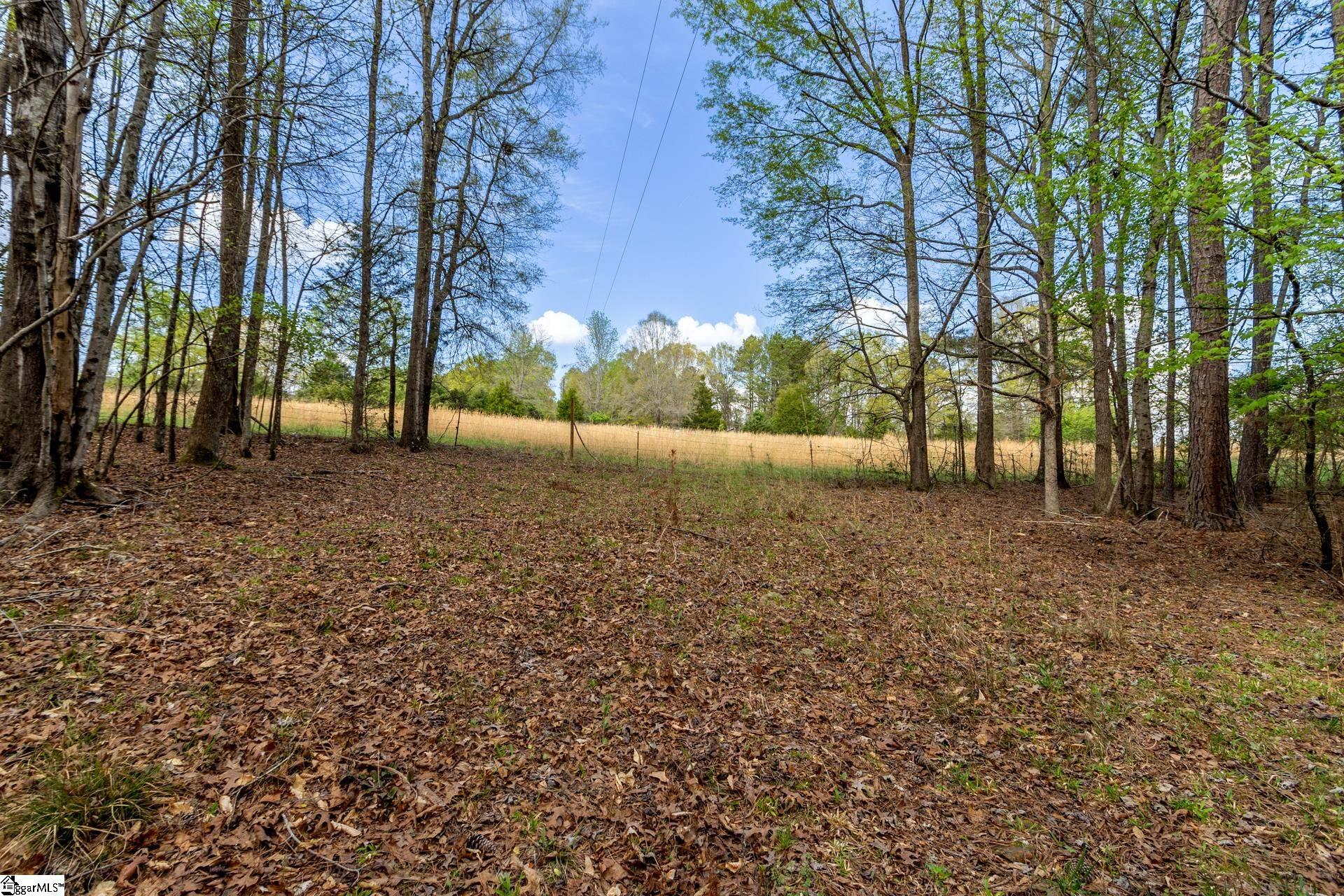 365 Old Bethel Road Moore, SC 29369 - Photo 42 of 50