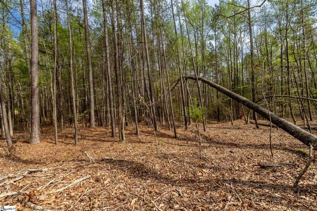 $1,500,000 | 365 Old Bethel Road, Moore, SC 29369