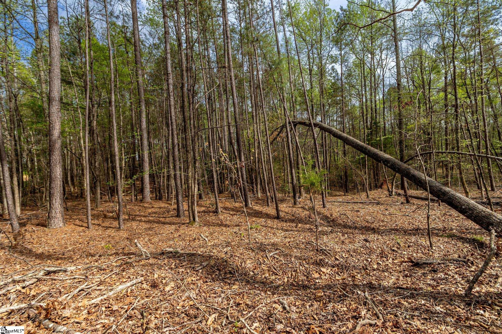 365 Old Bethel Road Moore, SC 29369 - Photo 43 of 50