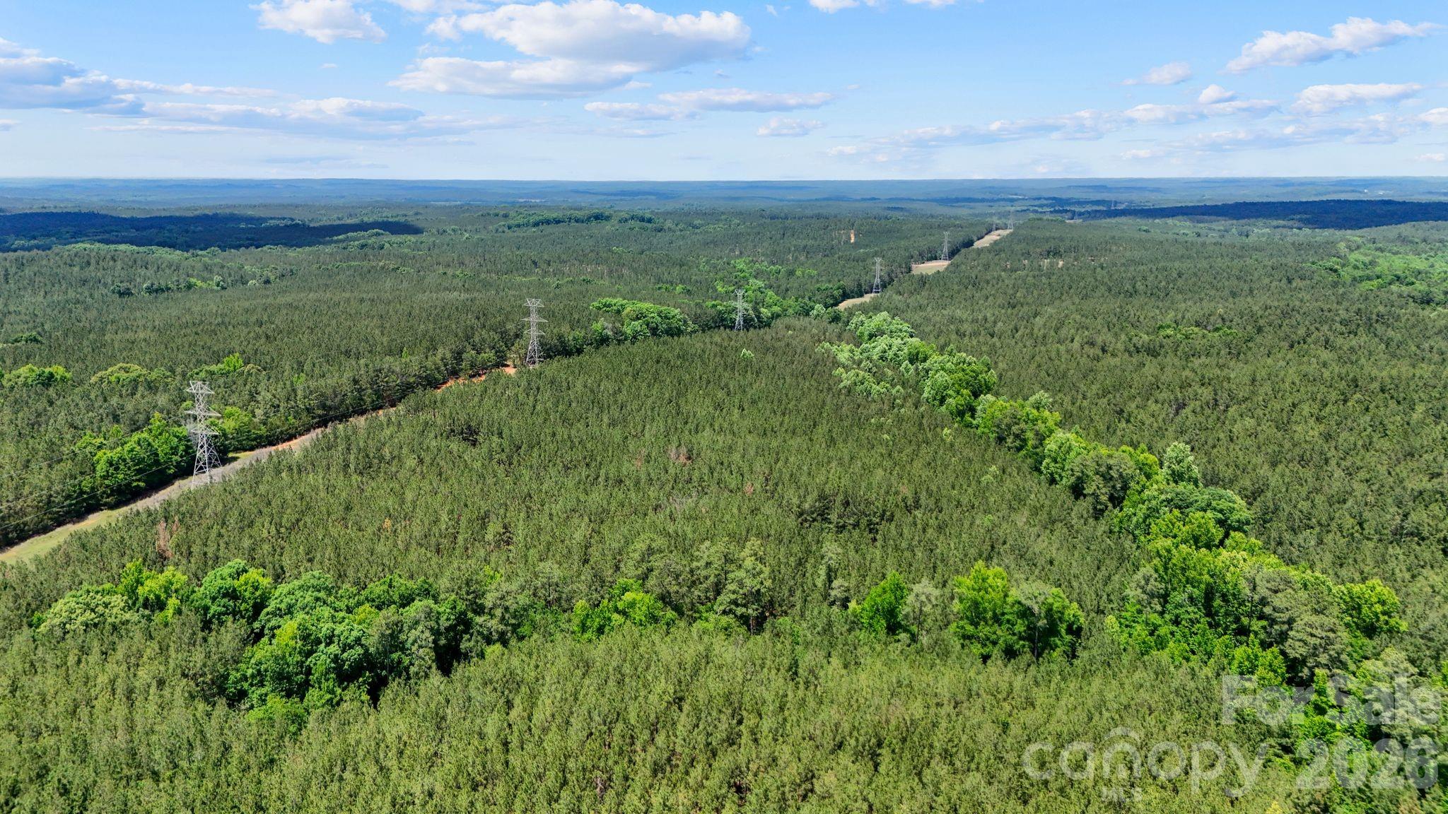 0 Cool Branch Road, Unit 1 Carlisle, SC 29031 - Photo 22 of 45 Gallery Image 22