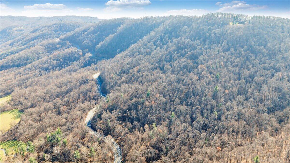 a view of a houses of a yard
