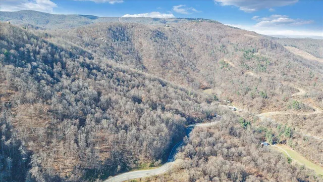 a view of a dry yard