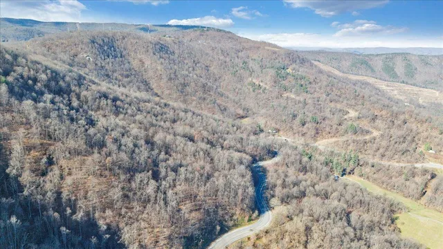 a view of a yard with a dry space