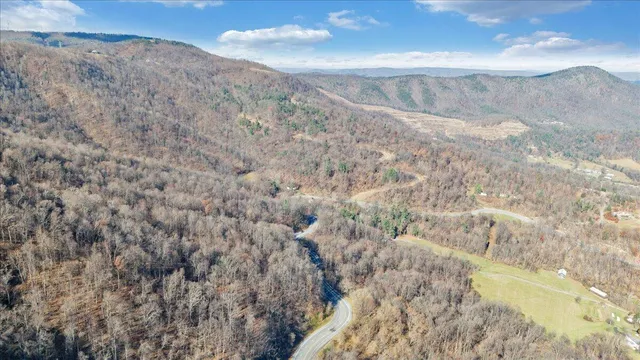 a view of a dry yard with trees