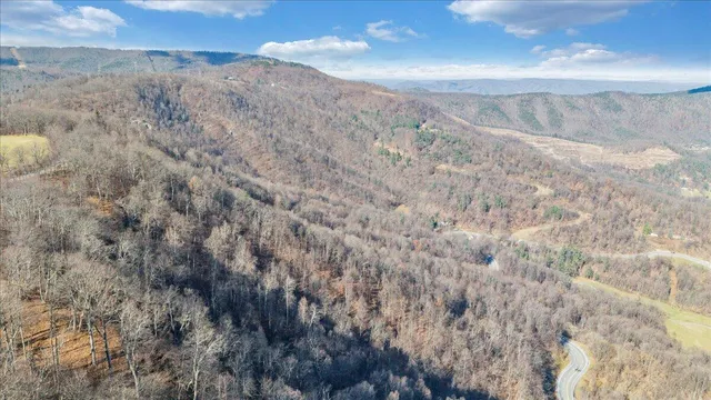 a view of backyard with green space