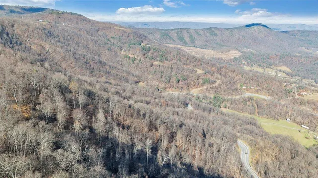 a view of a dry yard with trees