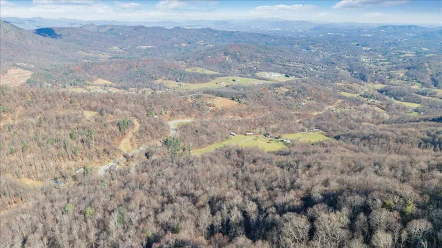 a view of a backyard with wooden fence