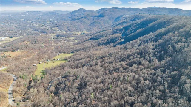 a view of a dry yard with green space