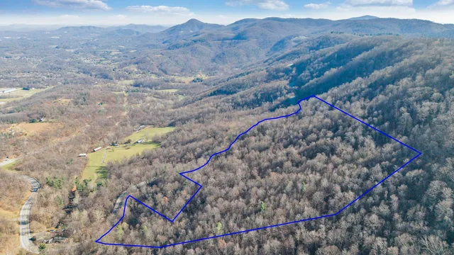 a view of a dry yard with green space and wooden fence