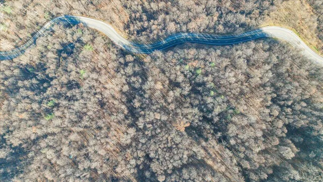 a view of a dry yard
