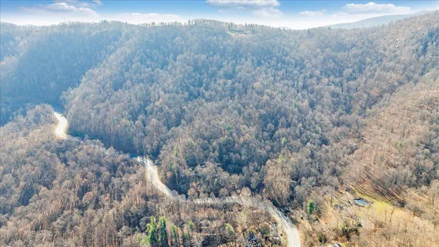 a view of a dry yard