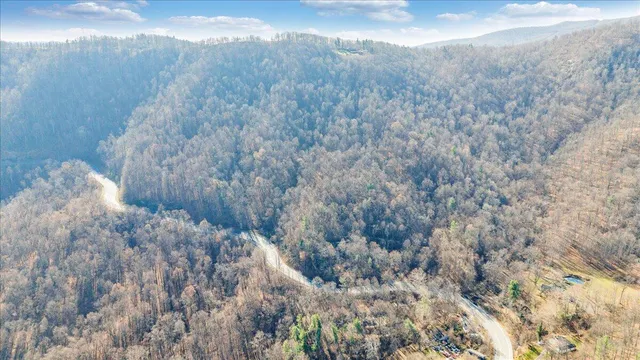 a view of a dry yard with green space