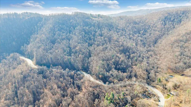 a view of a dry yard