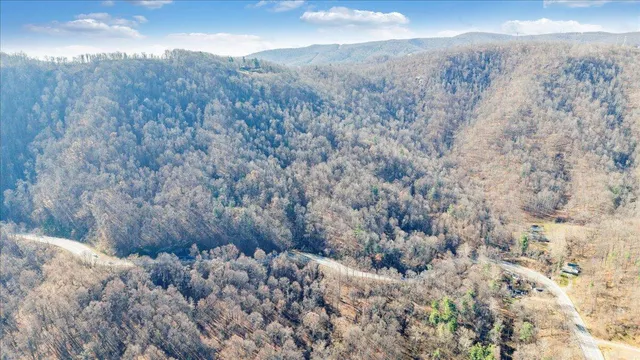 a view of a dry yard with trees