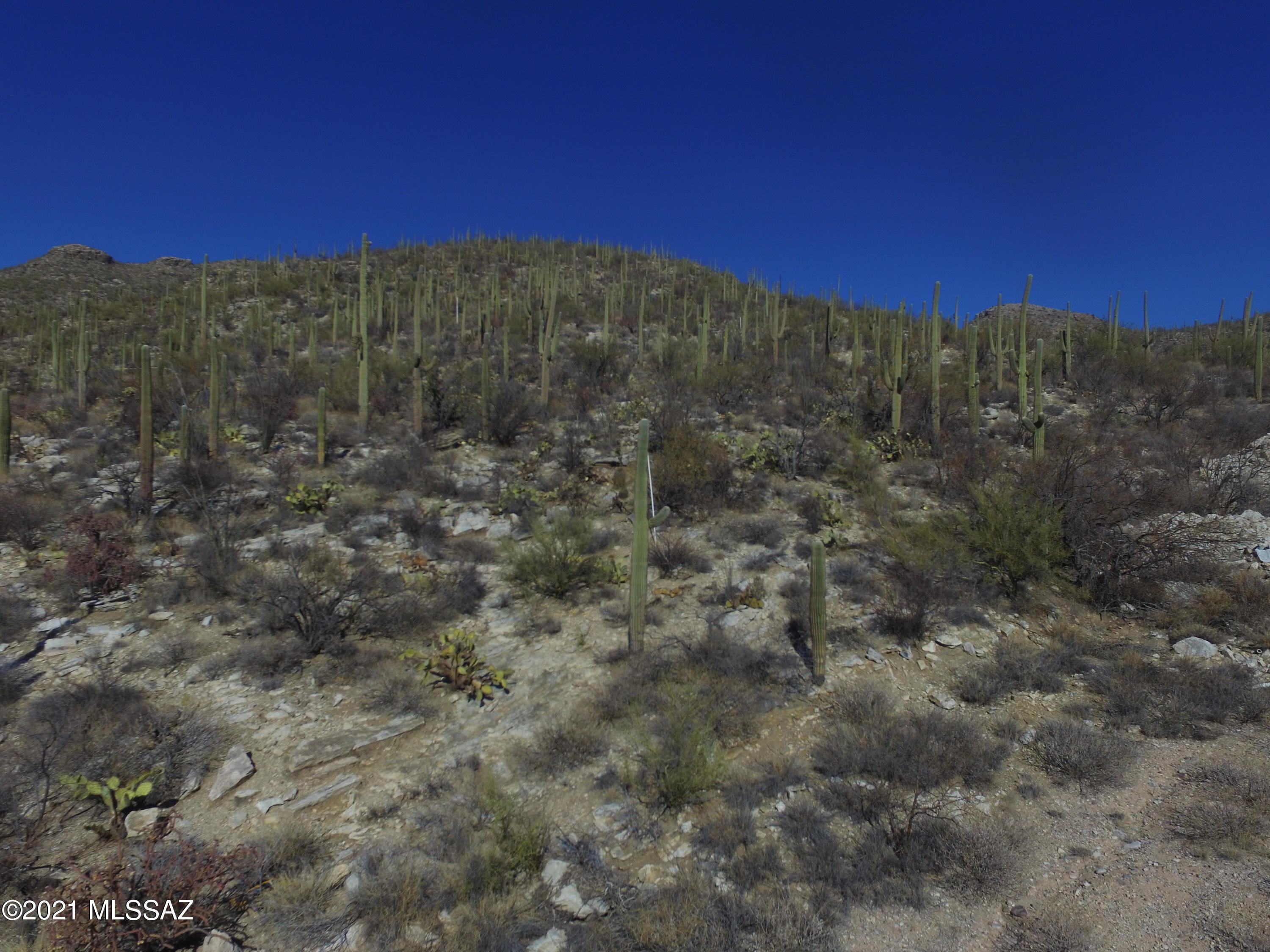 12265 East Coronado Road, Unit 46 Tucson, AZ 85749 - Photo 27 of 41