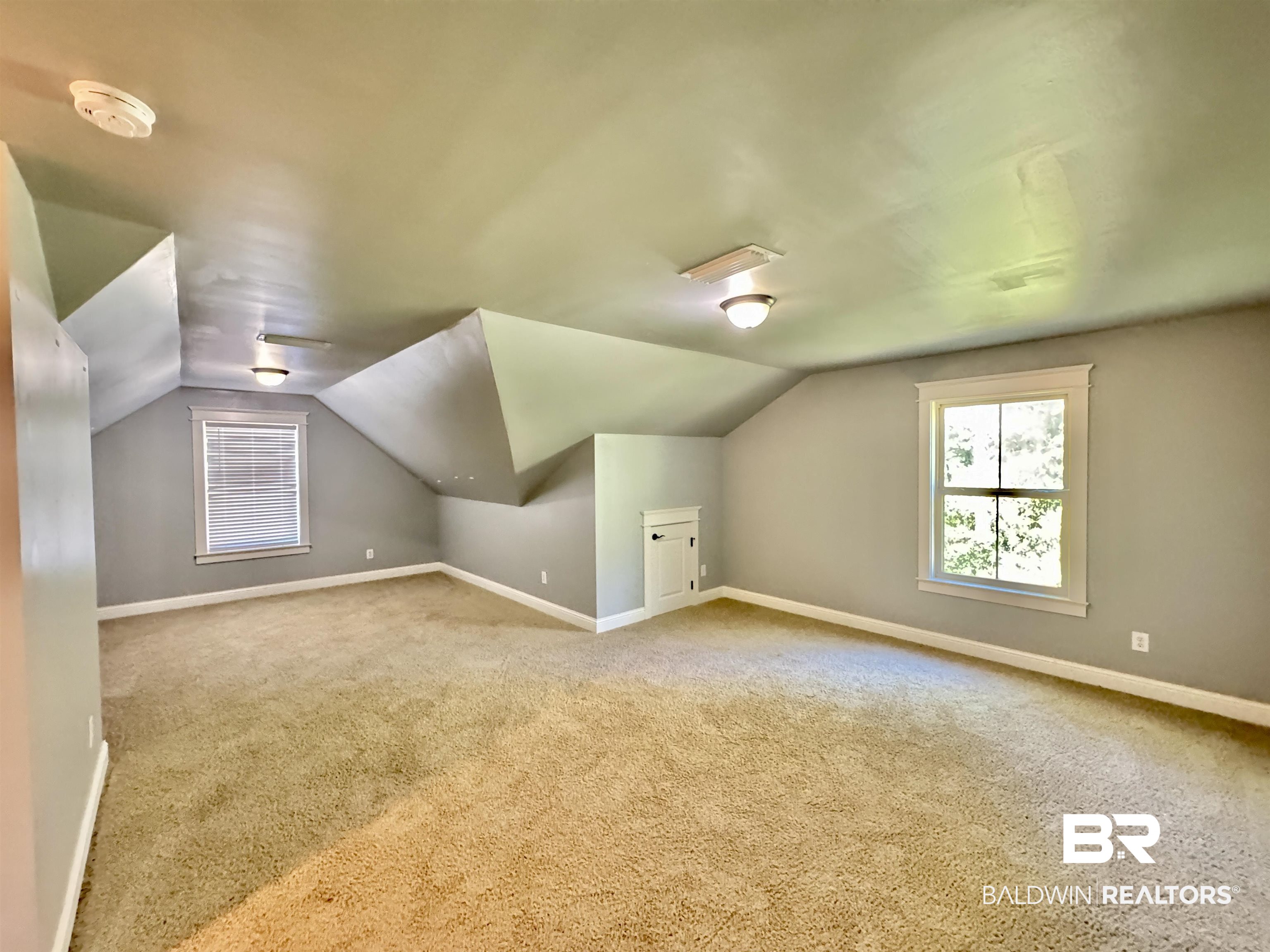 10846 County Road 138 Bay Minette, AL 36507 - Photo 41 of 53 Additional living space featuring lofted ceiling and carpet flooring