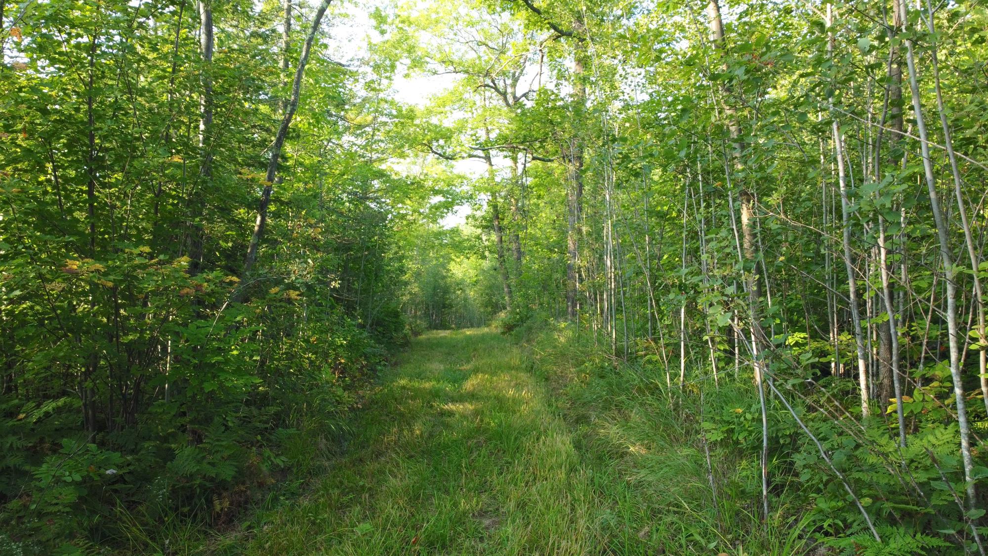 60240 Stuart Road Mason, WI 54856 - Photo 54 of 99 Gallery Image 54