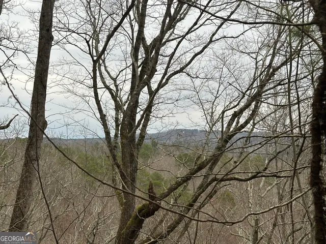 a view of a yard with plants and trees