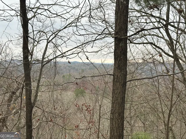 a view of tree covered with snow