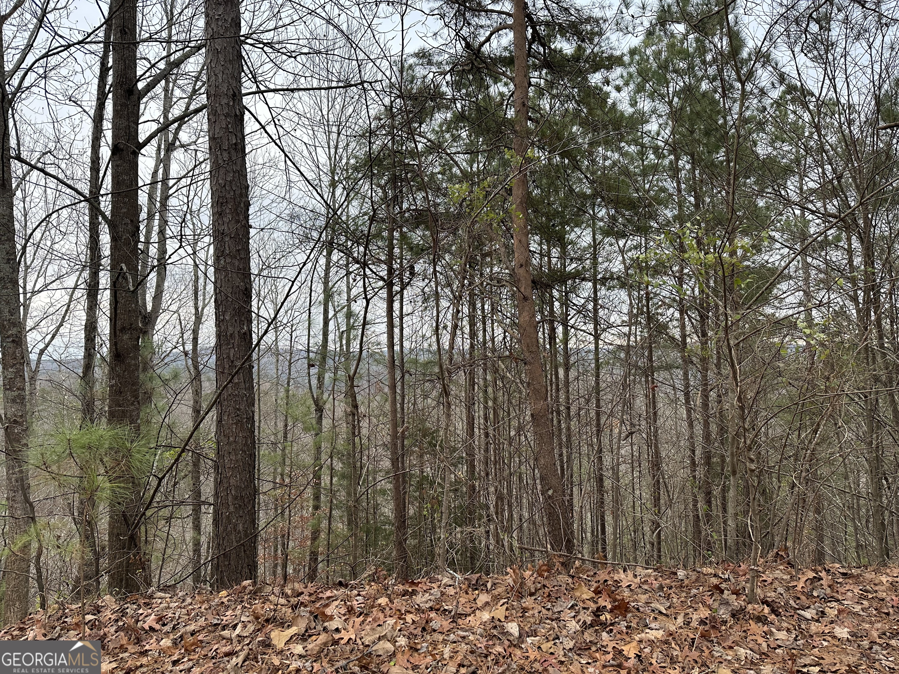 306 Oberlin Court Ranger, GA 30734 - Photo 12 of 15 a backyard of a house with lots of green space