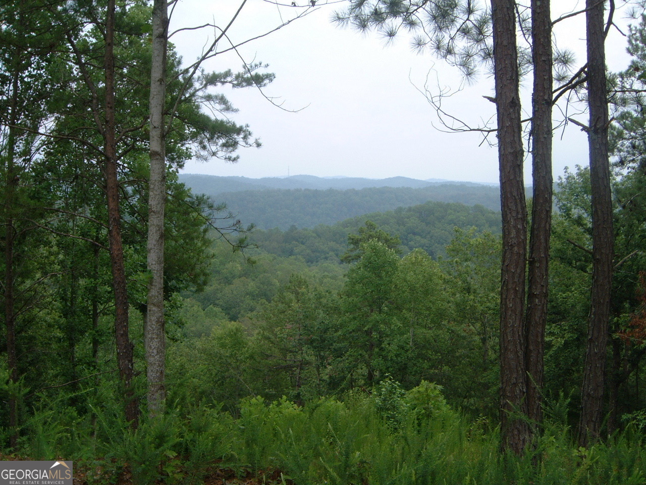 306 Oberlin Court Ranger, GA 30734 - Photo 2 of 15 a view of a forest with a mountain