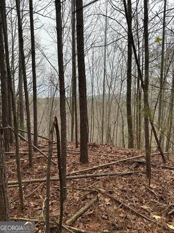 a view of a backyard of the house