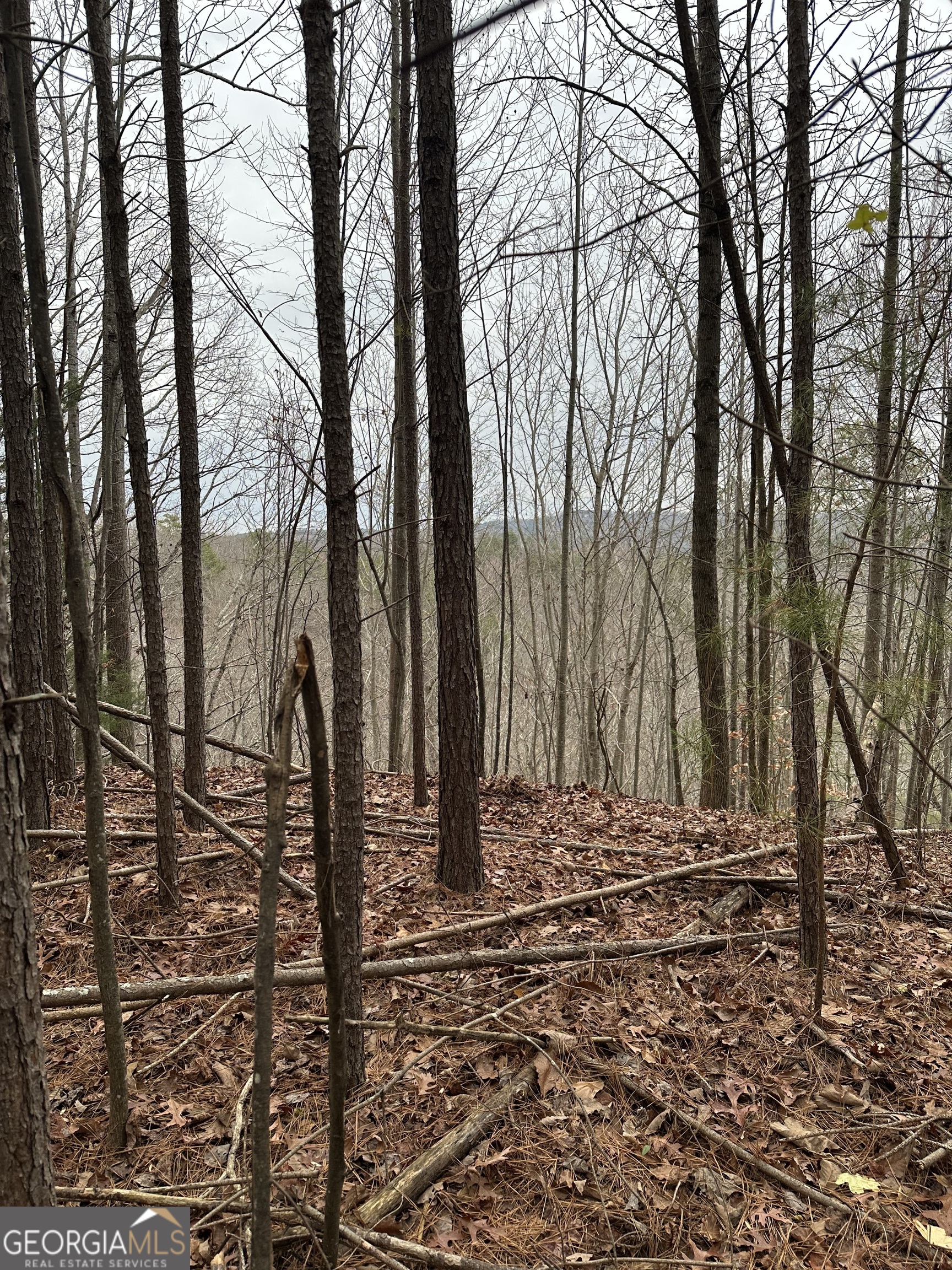306 Oberlin Court Ranger, GA 30734 - Photo 4 of 15 a view of a backyard of the house