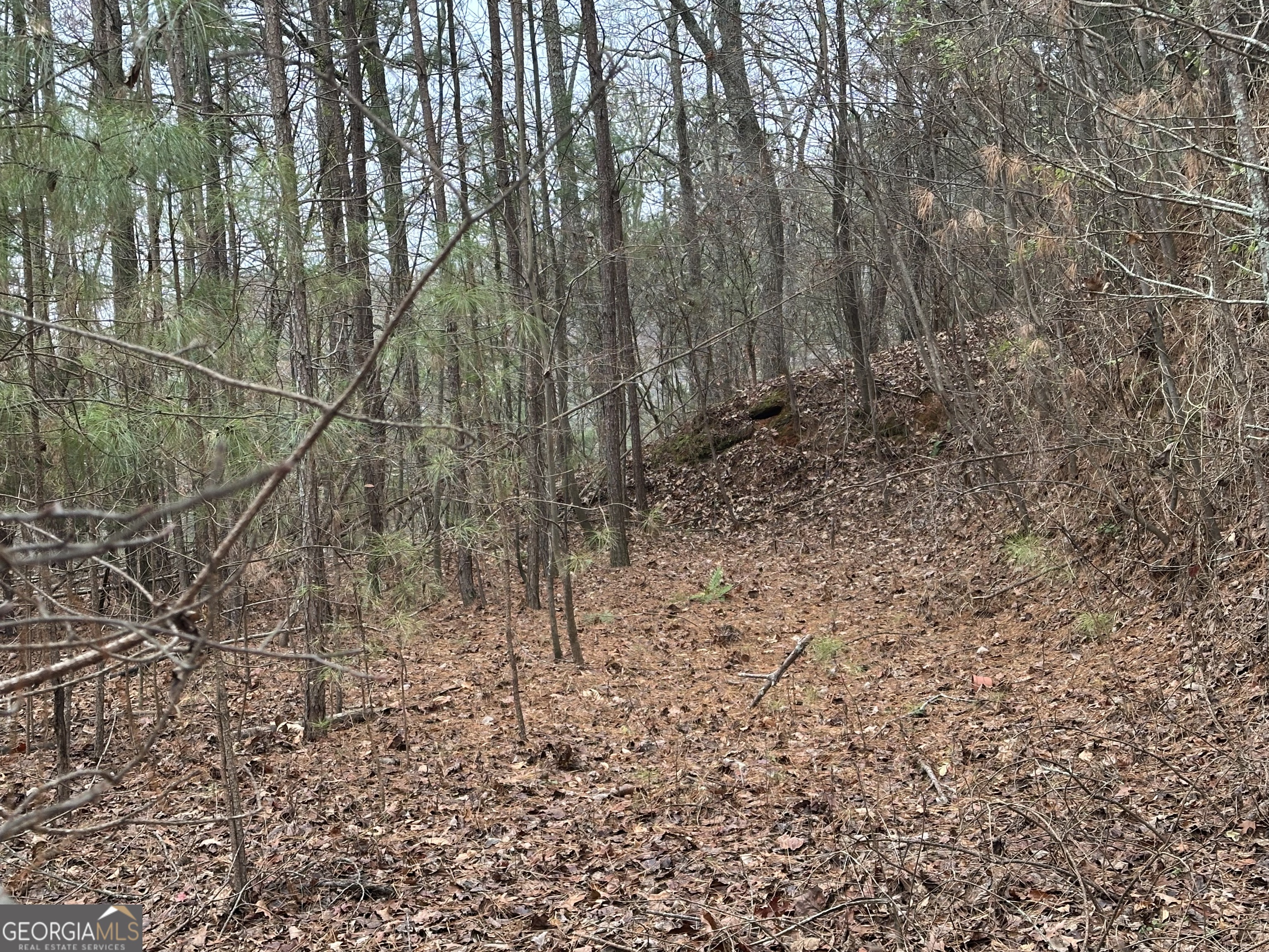 306 Oberlin Court Ranger, GA 30734 - Photo 7 of 15 a view of a yard with trees in the background